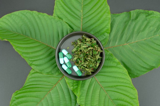 Finding Relief: How Kratom Extracts Address Common Health Issues